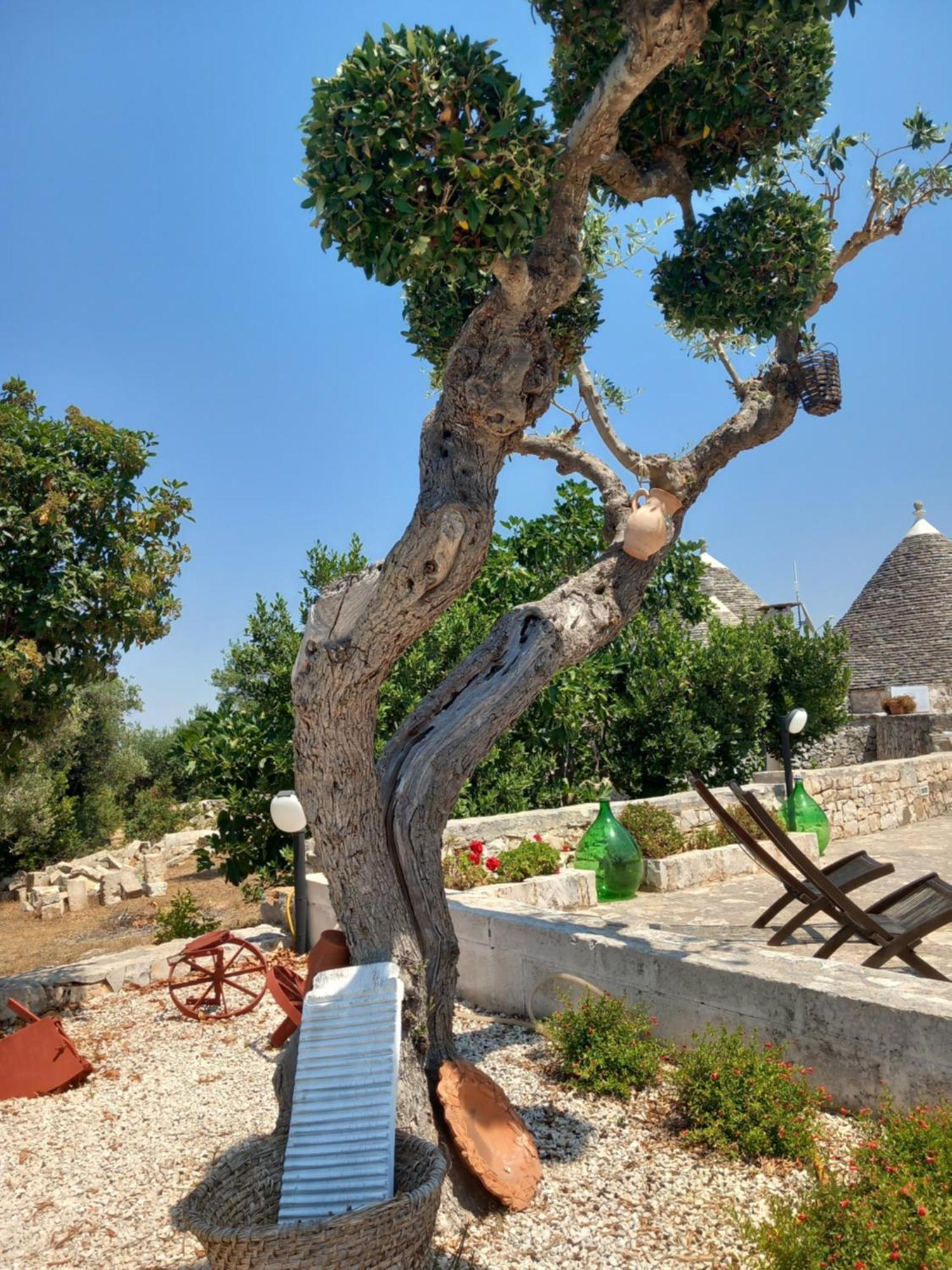 Gasthaus Trullo Monte Del Sale Alberobello Exterior foto